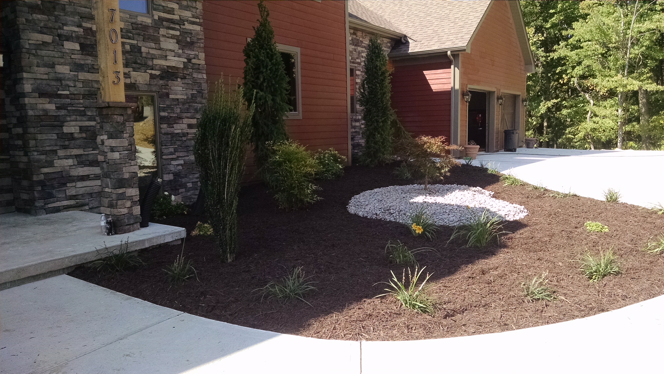 IMG_0605 Jason Wilkinson Nursery