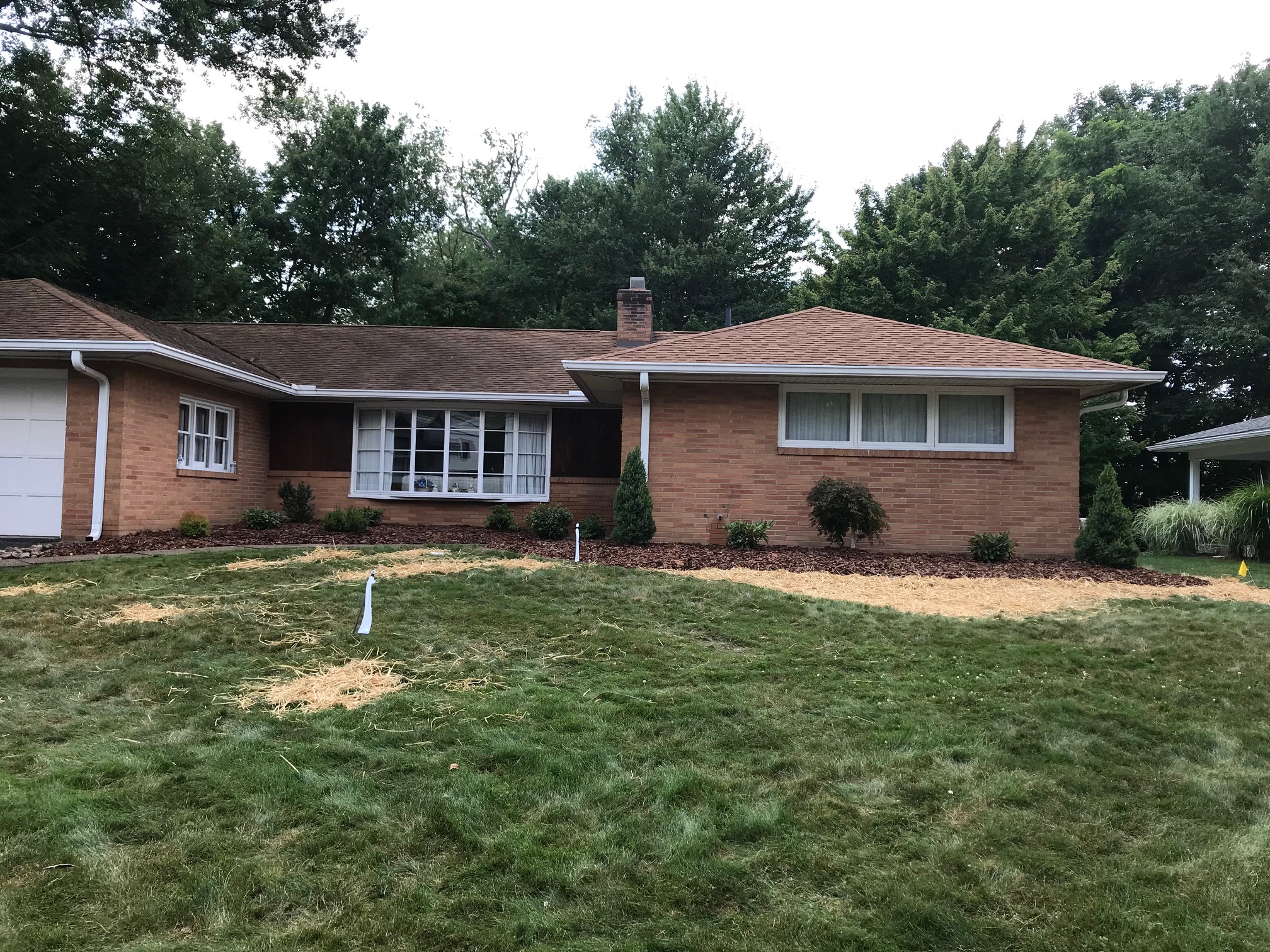 IMG_8145 Jason Wilkinson Nursery