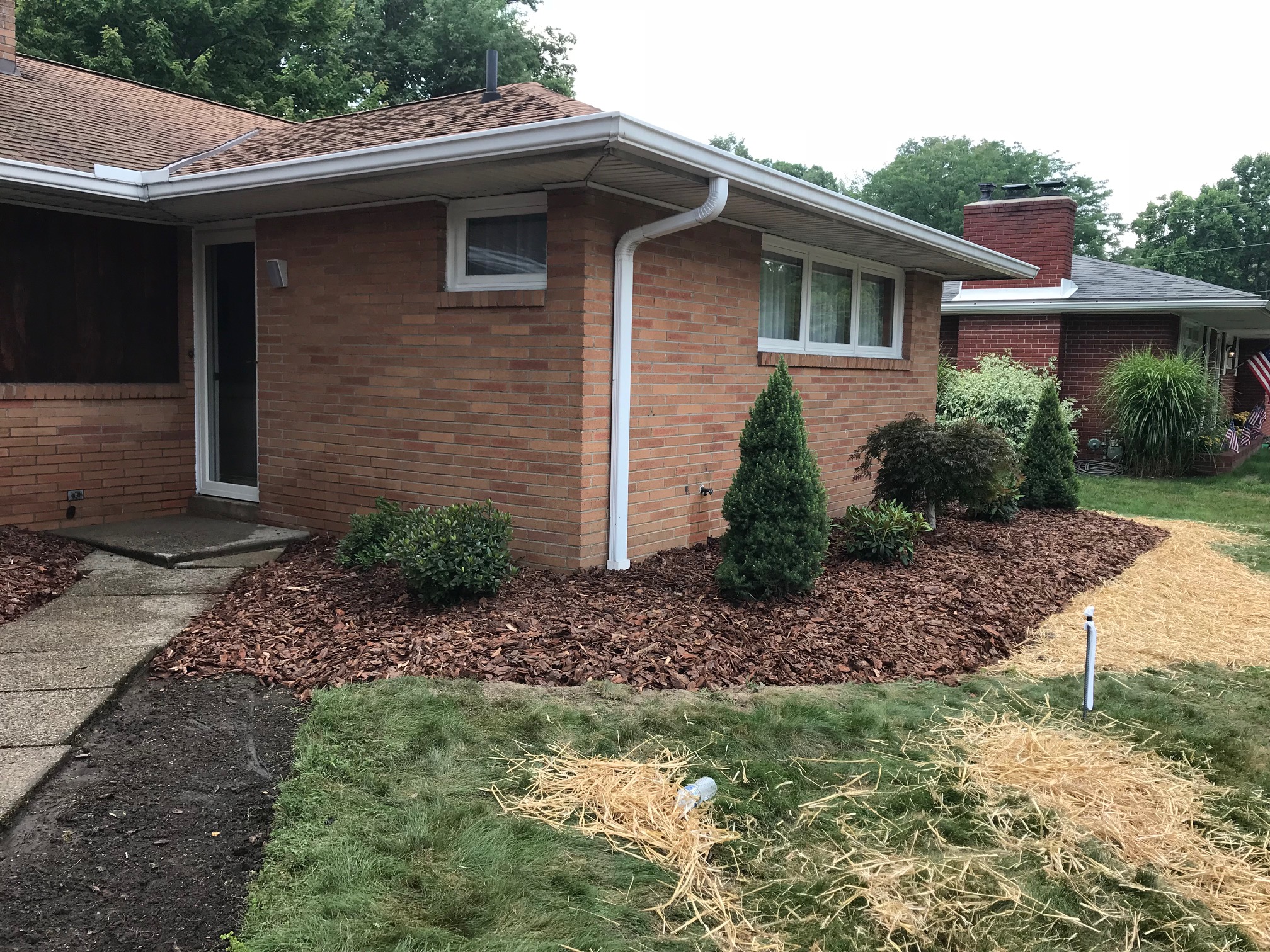 IMG_8147 Jason Wilkinson Nursery