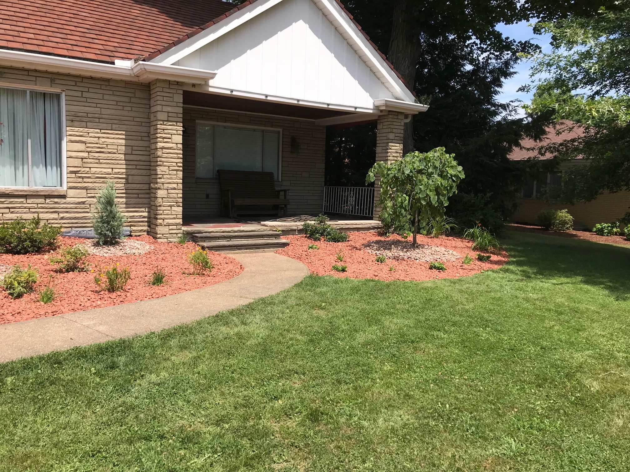 IMG_8151 Jason Wilkinson Nursery